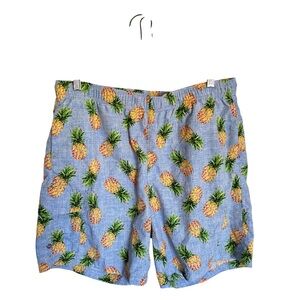 Rainforest Small Blue Pineapple Print Brief Lined Swim Shorts Trunks Vacation